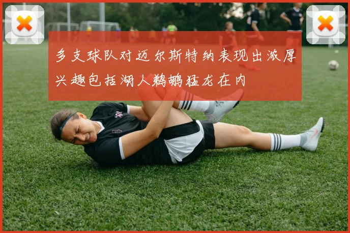 多支球队对迈尔斯特纳表现出浓厚兴趣包括湖人鹈鹕猛龙在内